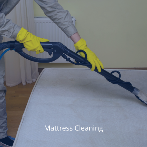 carpet cleaning (3)