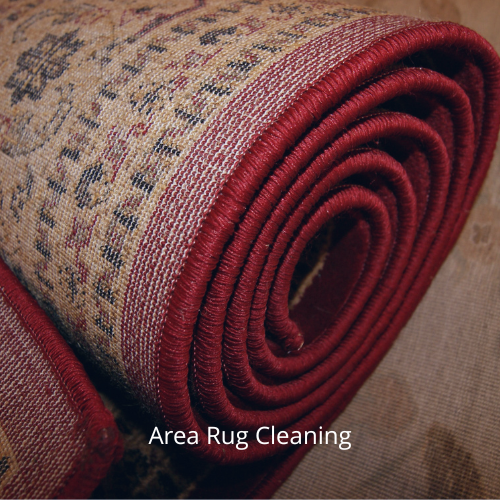 carpet cleaning (4)