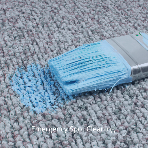 carpet cleaning (5)