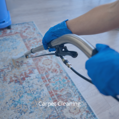 carpet cleaning