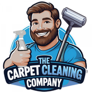 the carpet cleaning company logo (7)